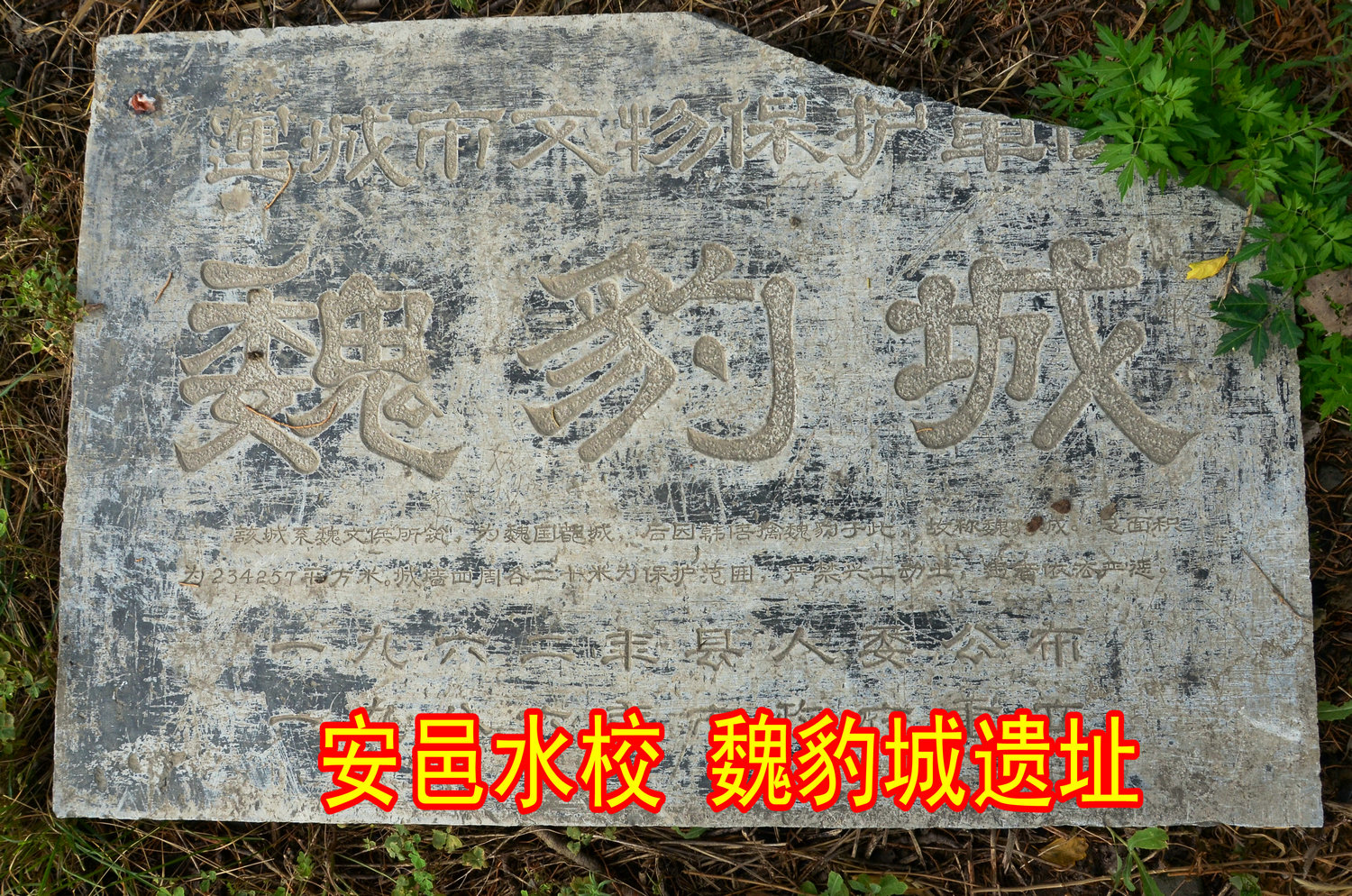 DSC_8669.jpg