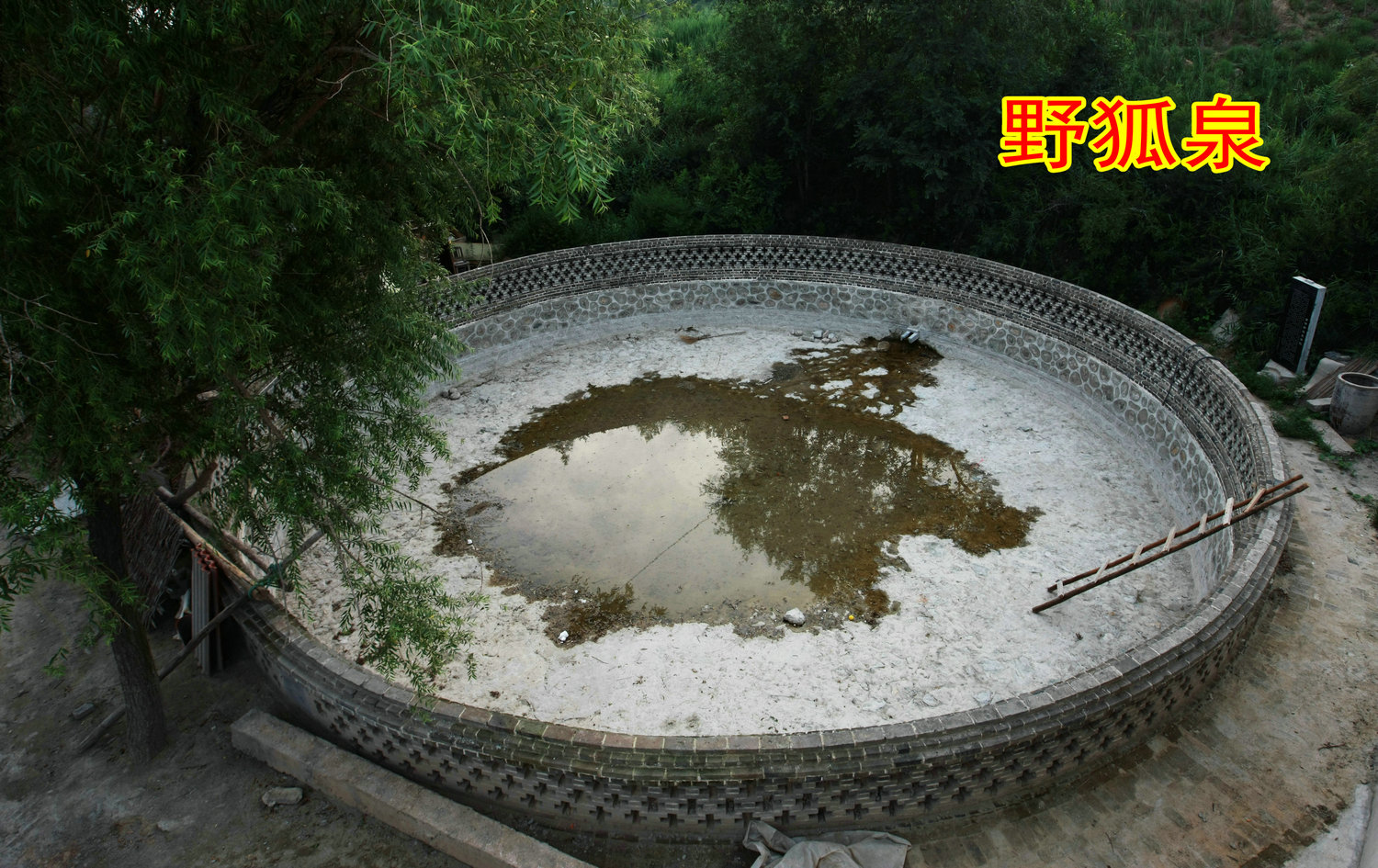 5C9J356ѡ6.jpg