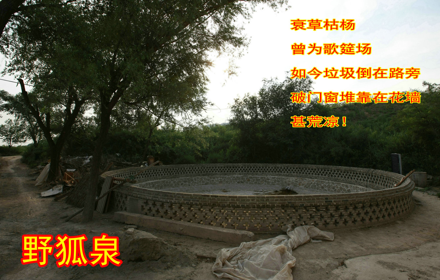 5C9J3556.JPG
