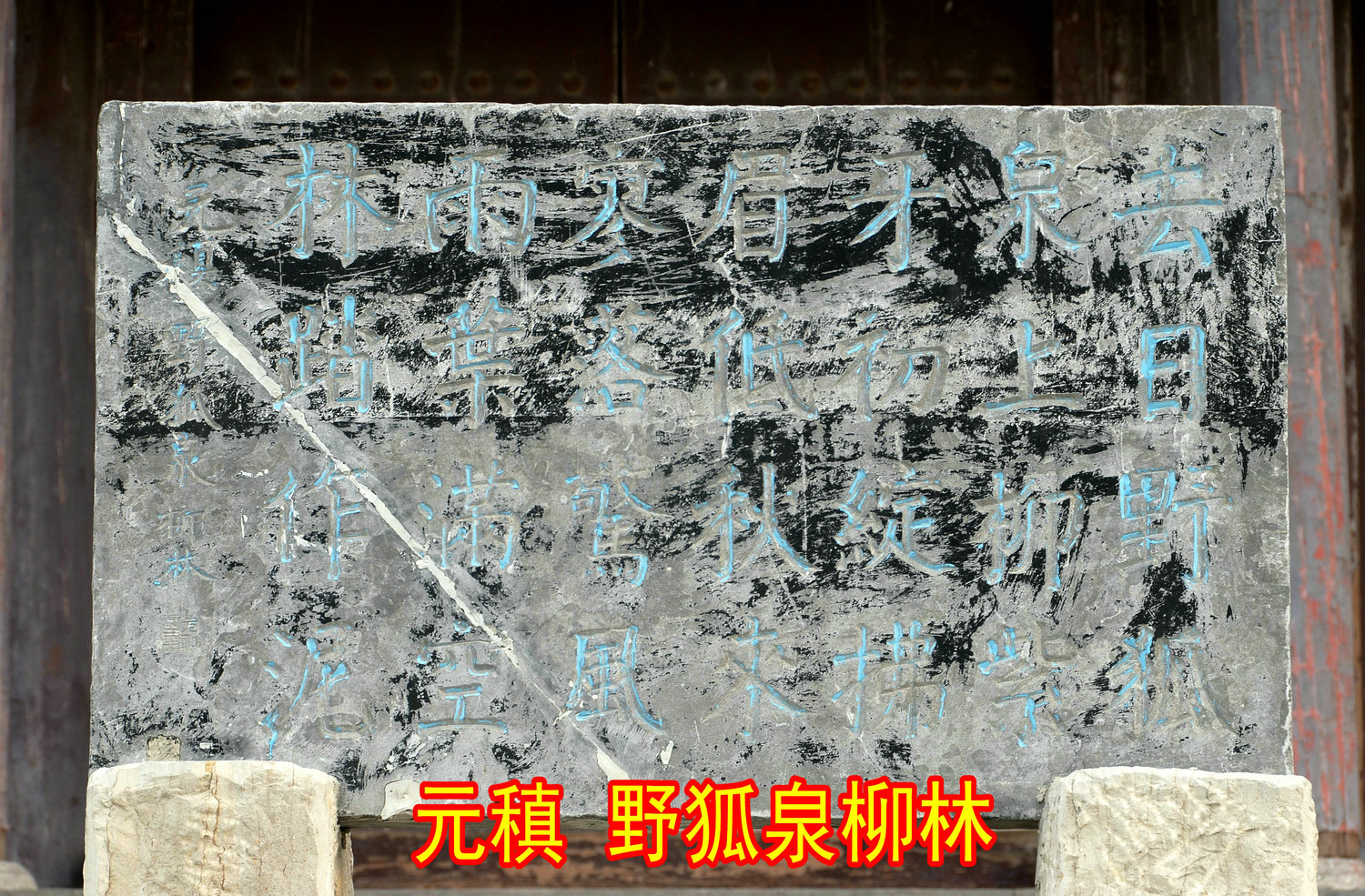 DSC_6990.JPG