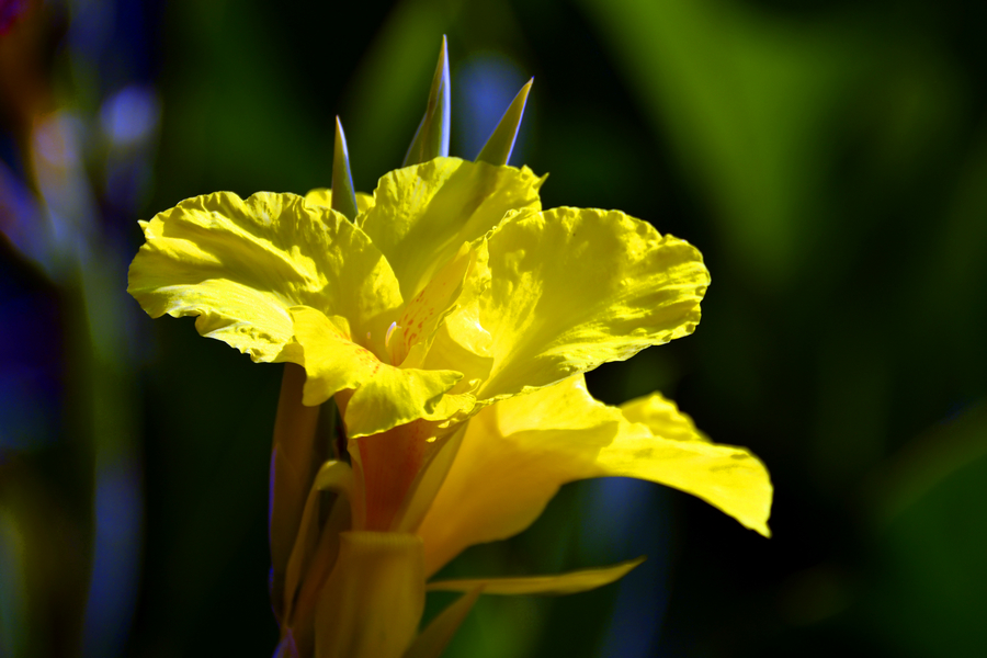 nEO_IMG__DSC0699.jpg