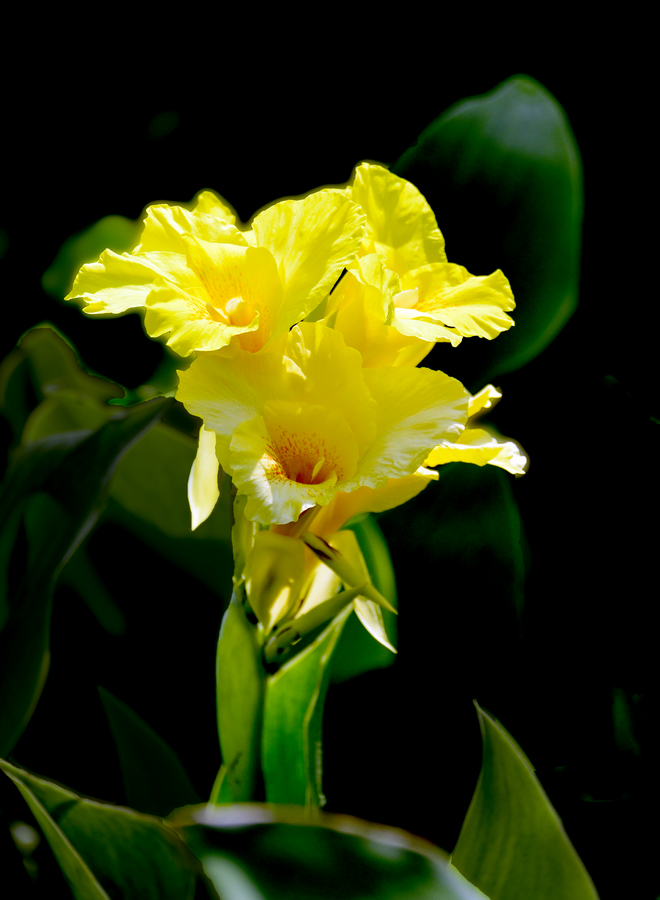 nEO_IMG__DSC0705.jpg
