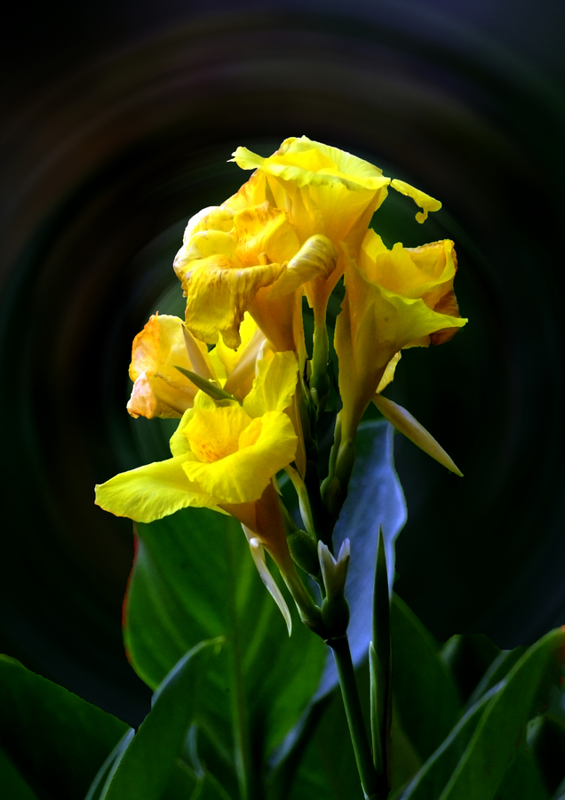 nEO_IMG__DSC0734.jpg
