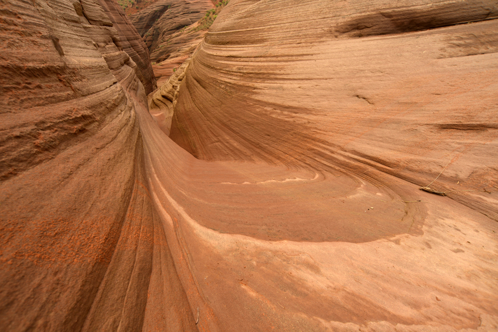 DSC_1529.JPG