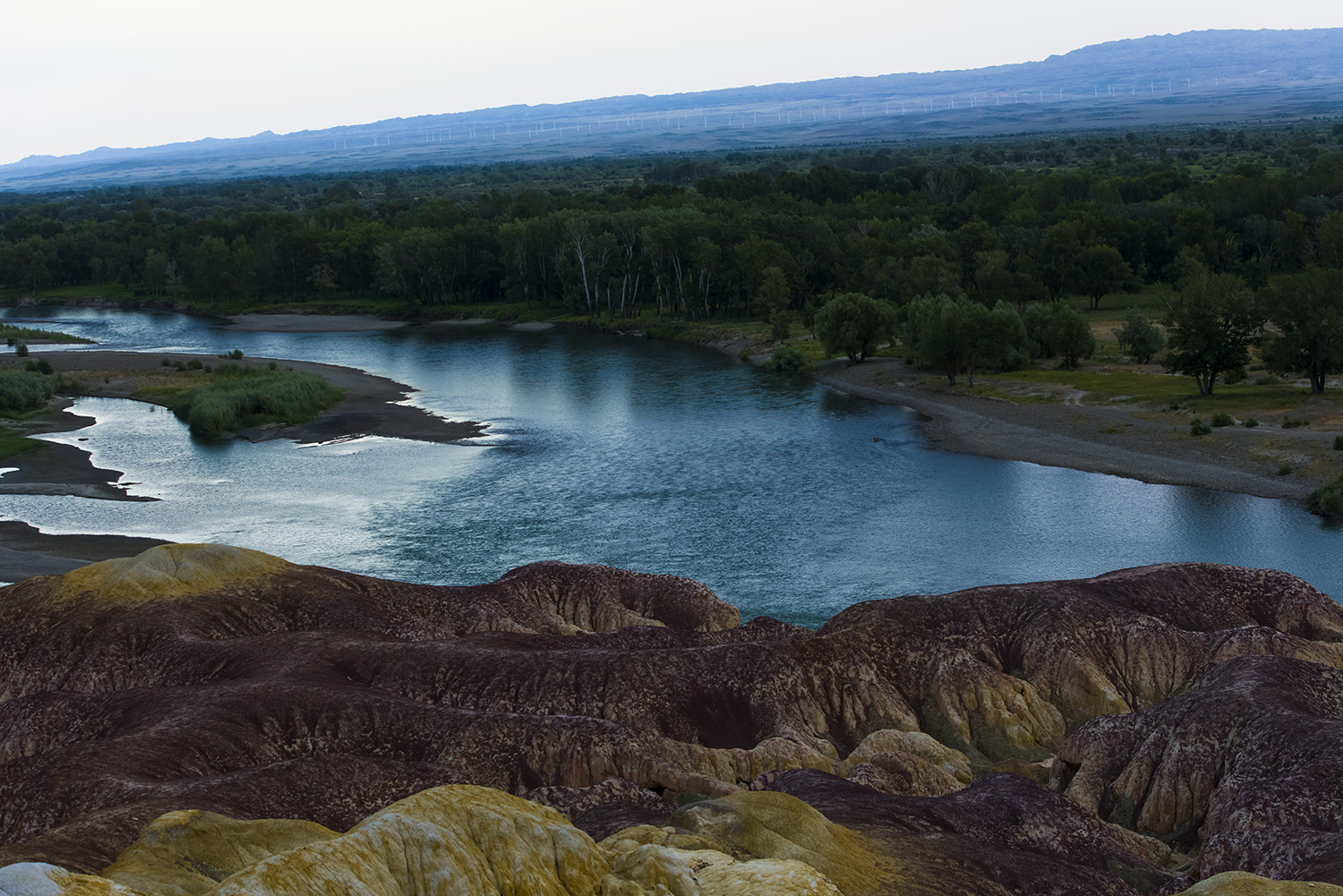 _DSC1684.JPG