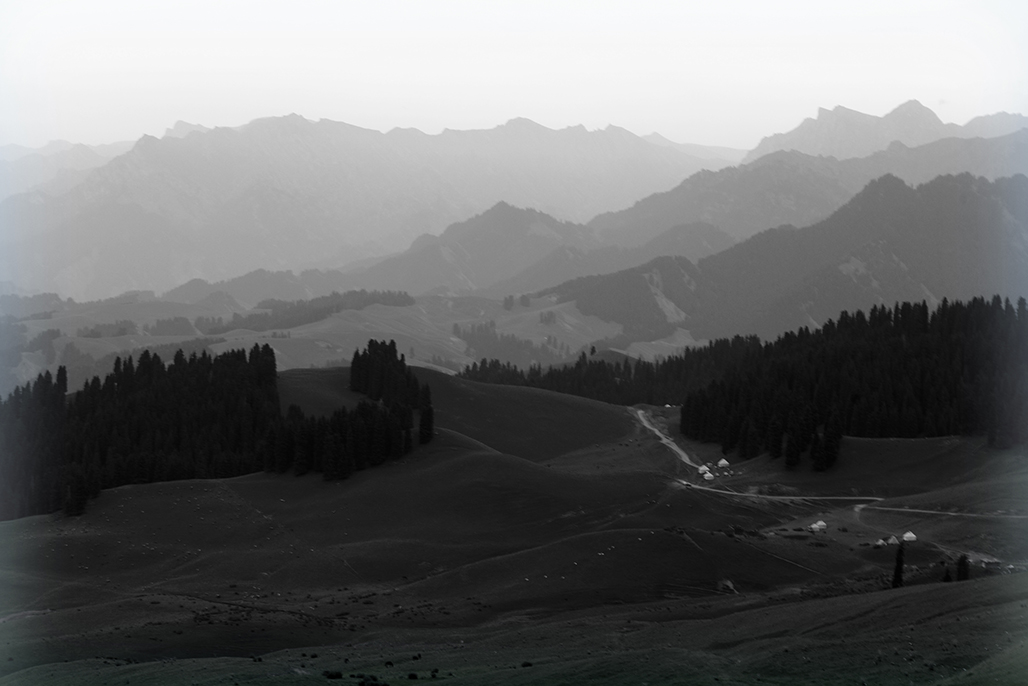 DSC_4351-1.jpg