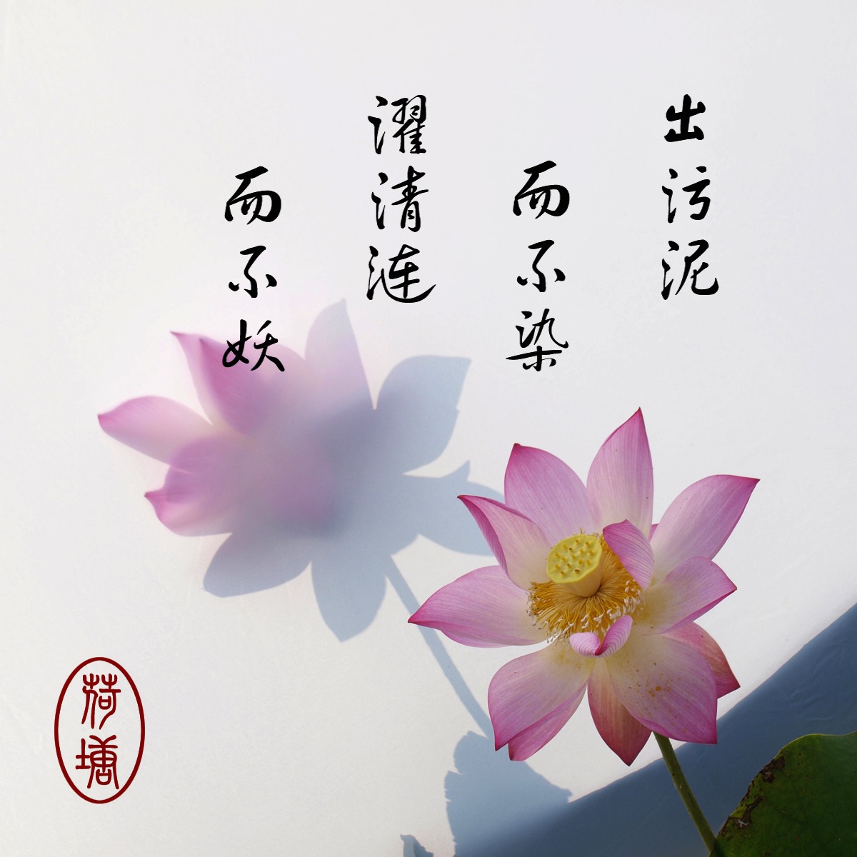 _7300803副本副本.jpg