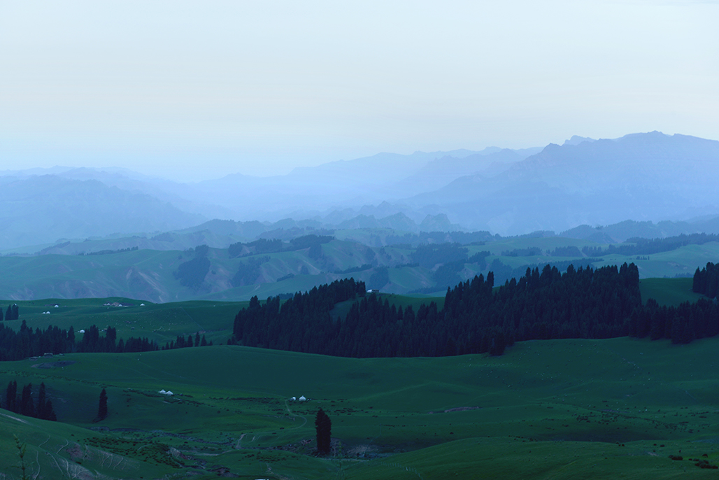 DSC_4345-1.jpg
