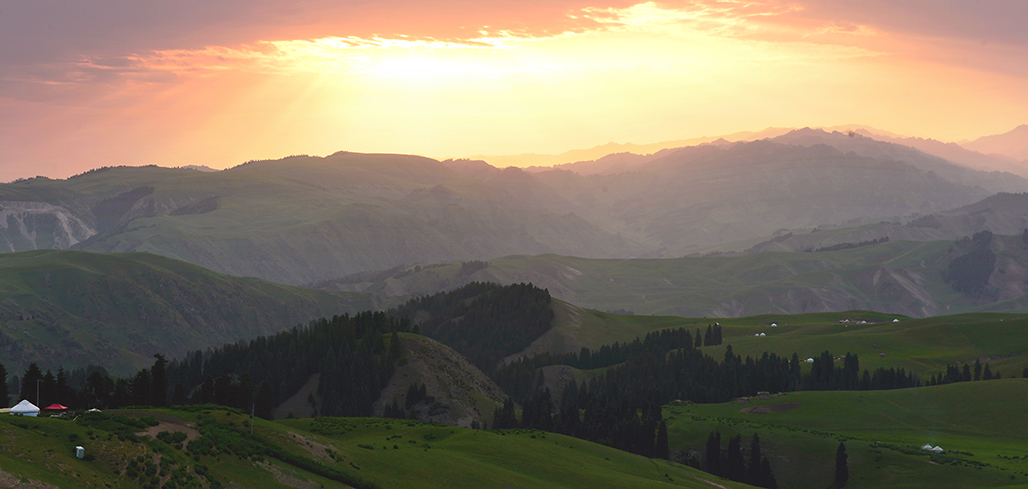DSC_4417-1.jpg