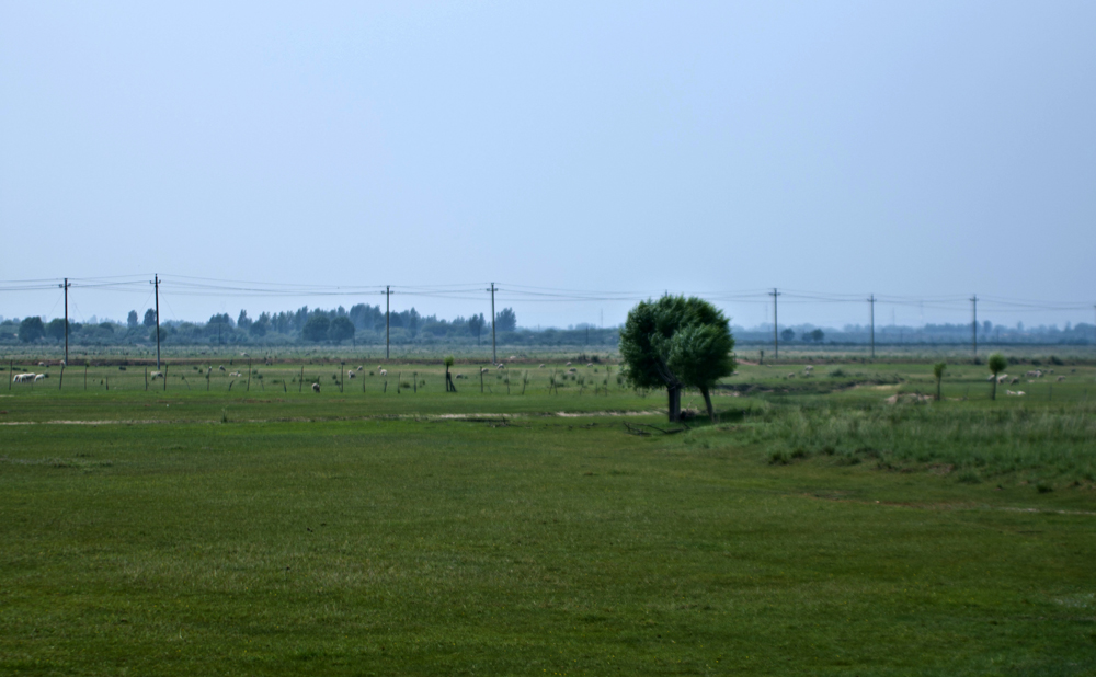 DSC_0153_1.JPG