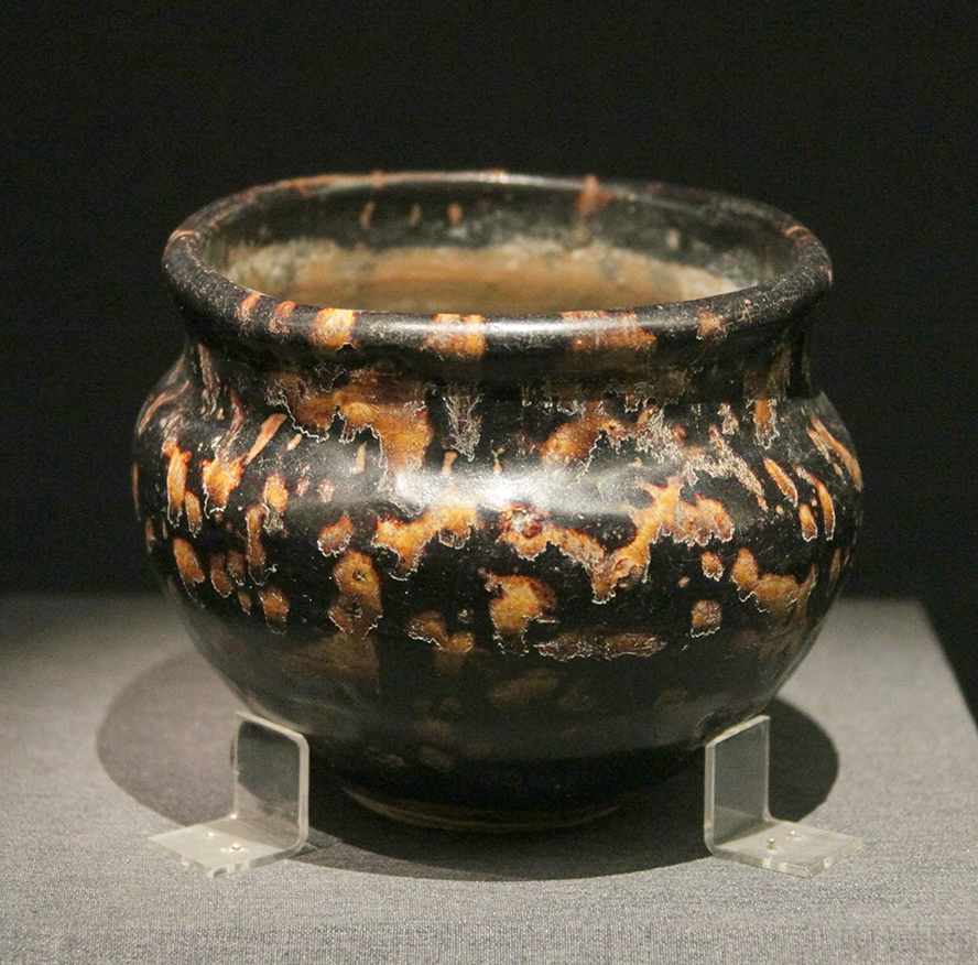 IMGL3580.jpg