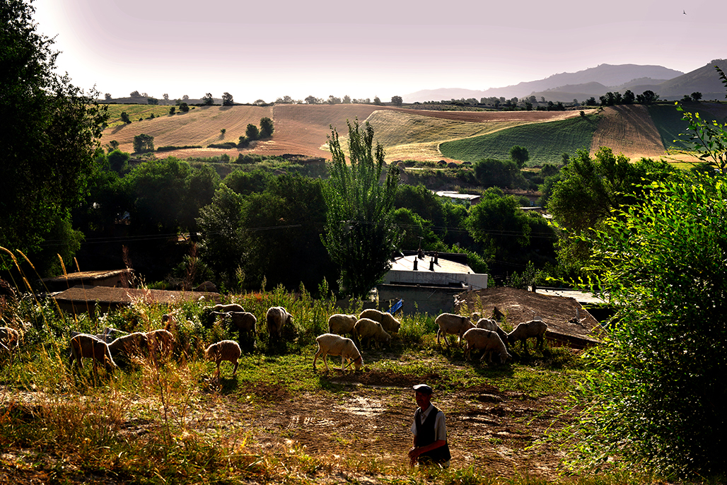 DSC_4635-1.jpg
