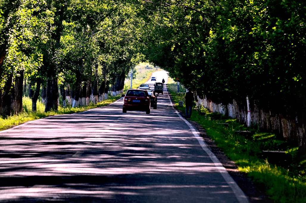 DSC_8693-1.jpg