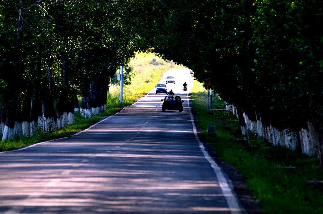DSC_8688-1.jpg