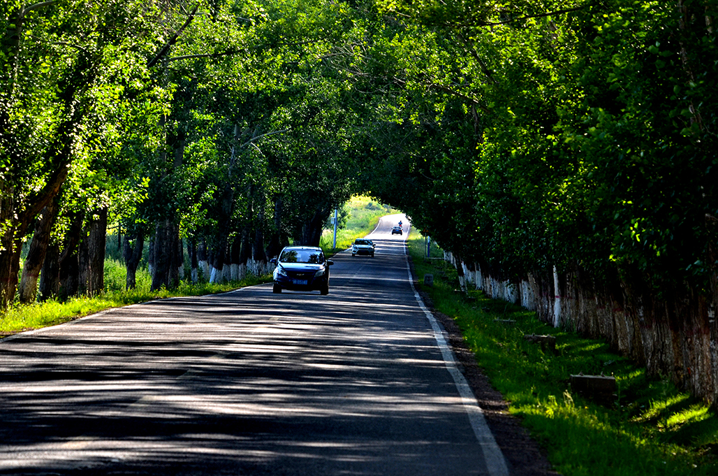 DSC_8689-1.jpg