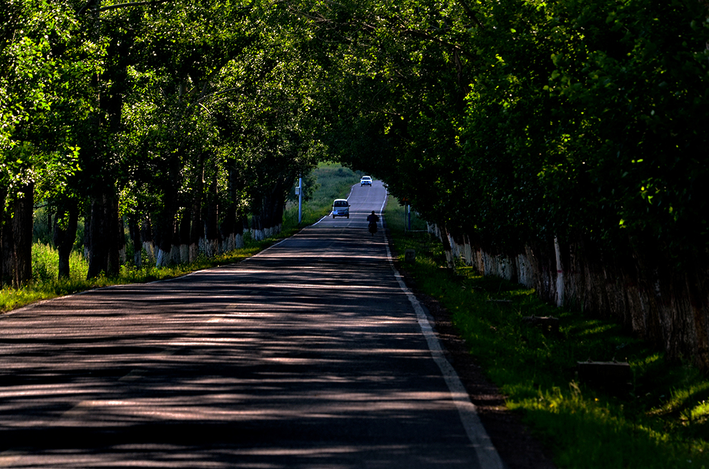 DSC_8691-1.jpg