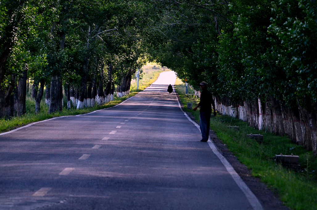 DSC_8692-1.jpg