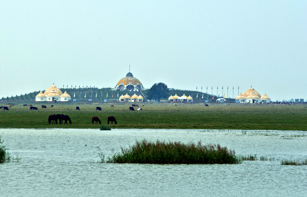 DSC_0175.JPG