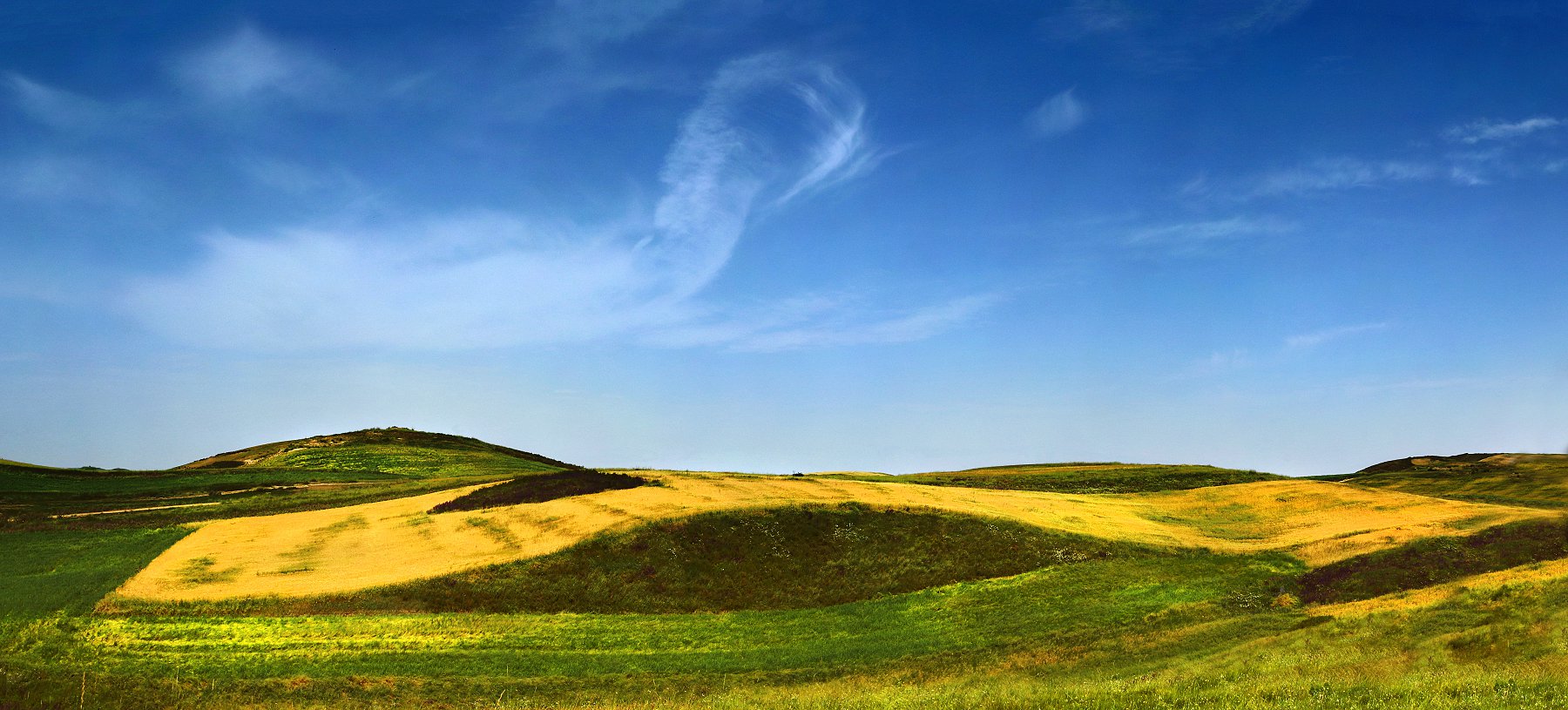 Q 10032 Panorama.jpg