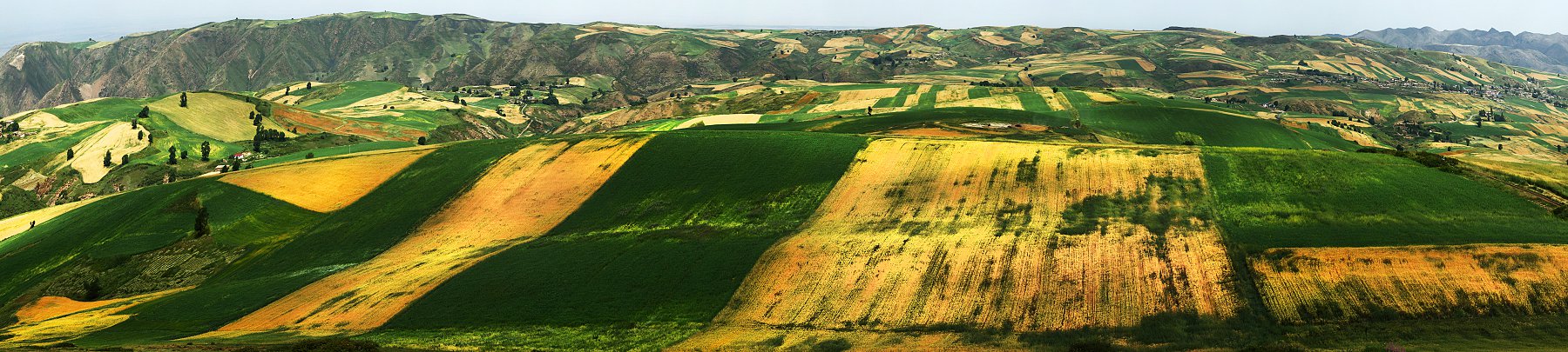 Q Q _10093 Panorama.jpg