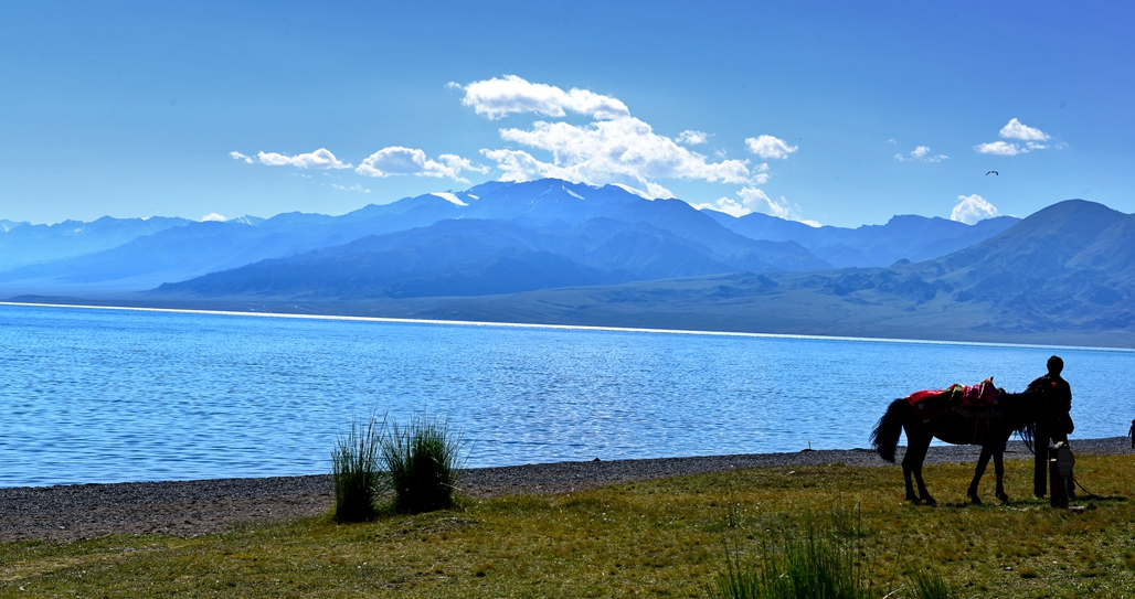 DSC_3974-1.jpg