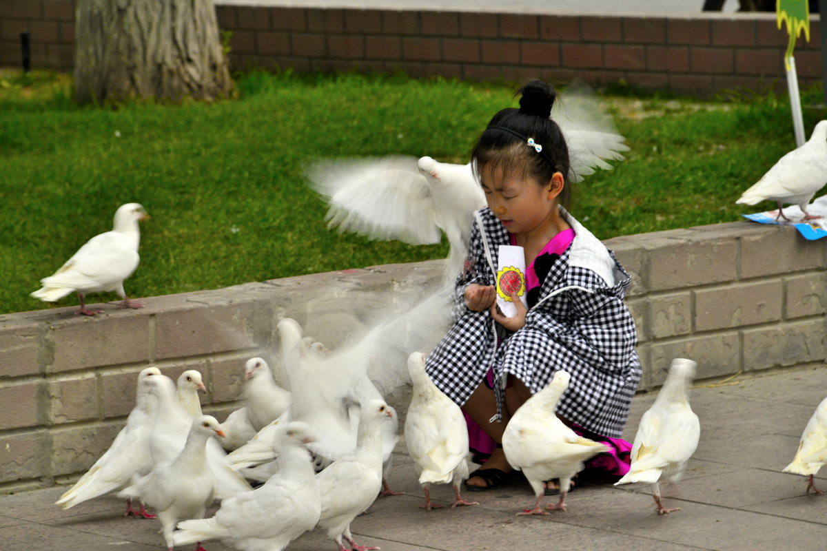 nEO_IMG__DSC2793.jpg