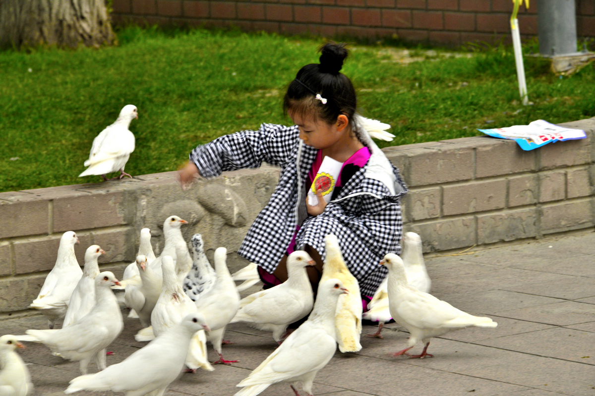 nEO_IMG__DSC2794.jpg