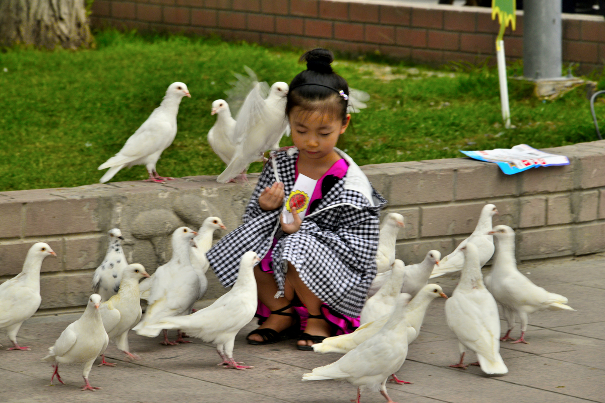 nEO_IMG__DSC2795.jpg