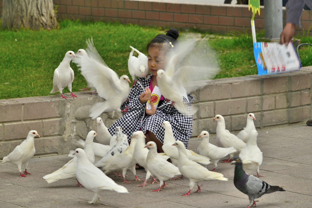 nEO_IMG__DSC2796.jpg