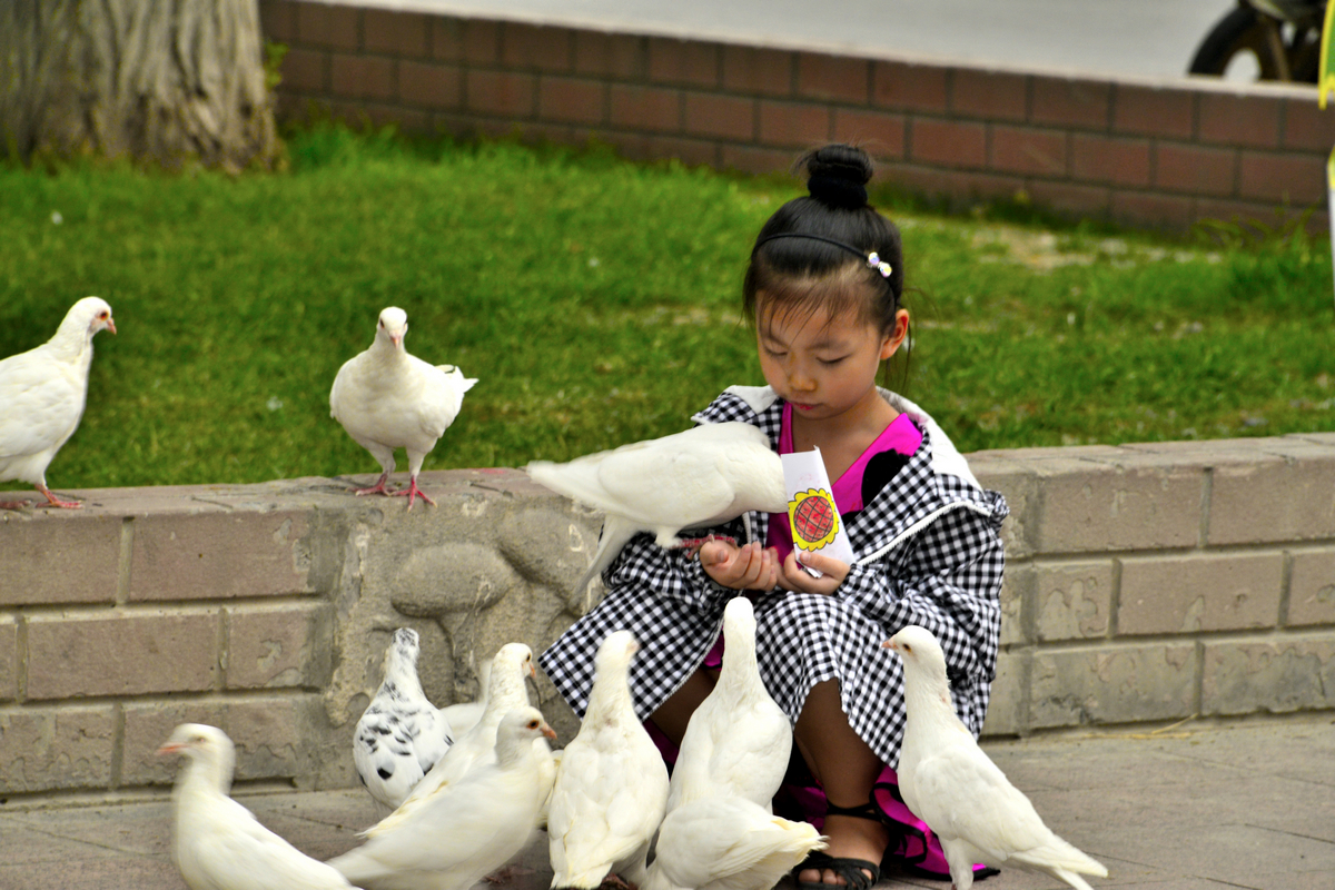 nEO_IMG__DSC2802.jpg