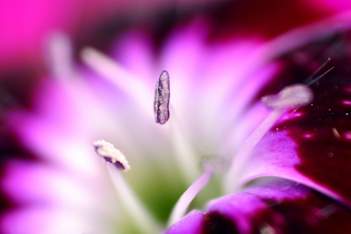 nEO_IMG__DSC2720.jpg