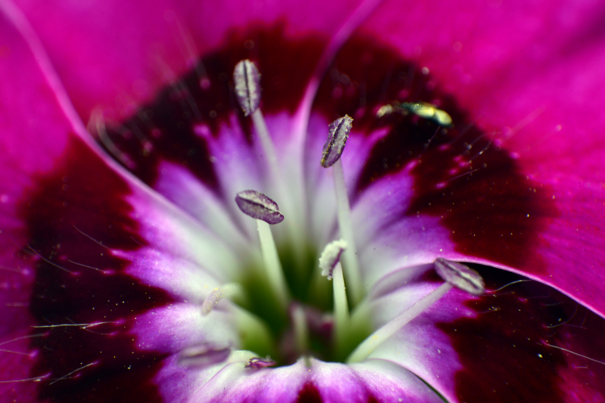 nEO_IMG__DSC2723.jpg
