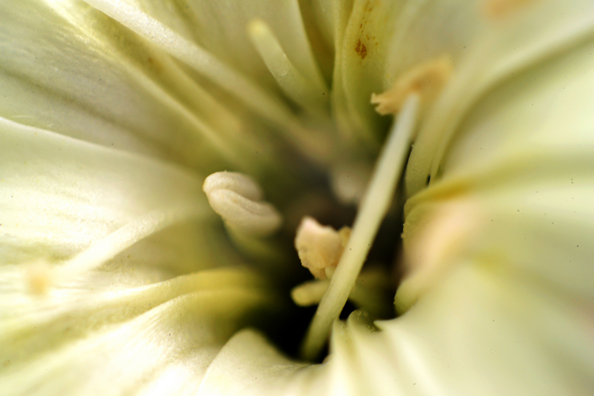 nEO_IMG__DSC2724.jpg