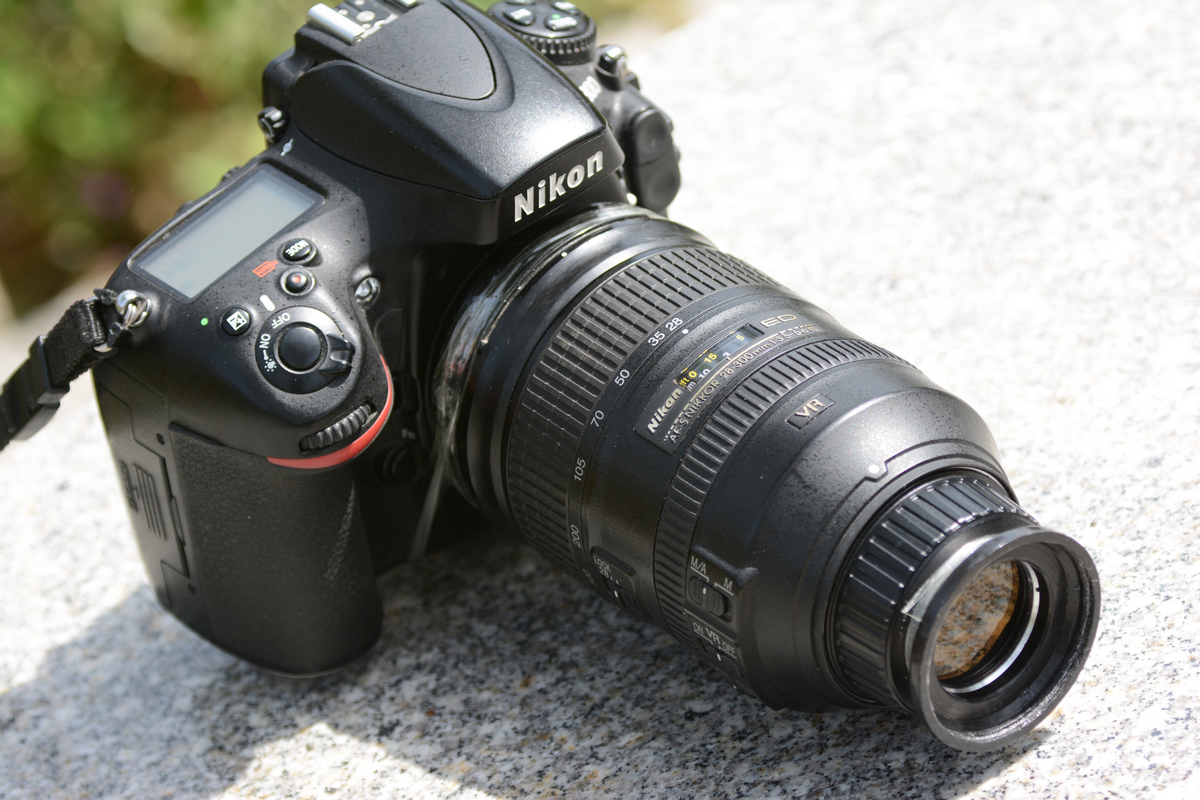 nEO_IMG_DSC_6573.jpg