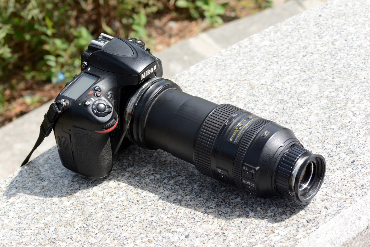 nEO_IMG_DSC_6575.jpg