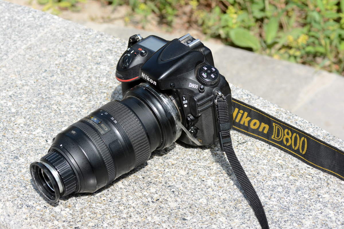 nEO_IMG_DSC_6577.jpg