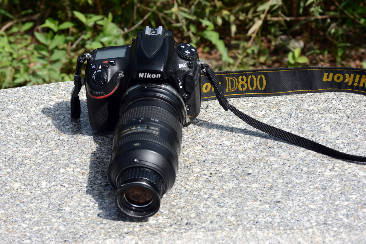 nEO_IMG_DSC_6578.jpg