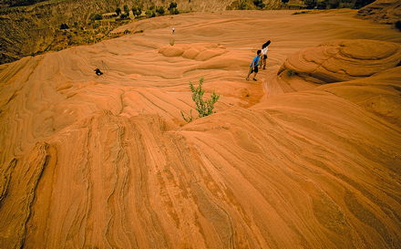 _DSC1656 (2).jpg