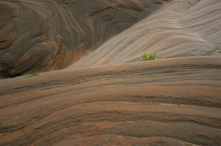 _DSC1668.JPG