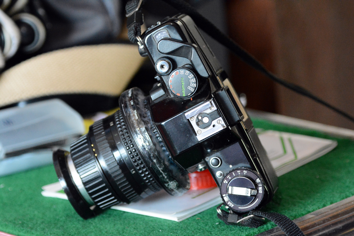 nEO_IMG_DSC_6581.jpg