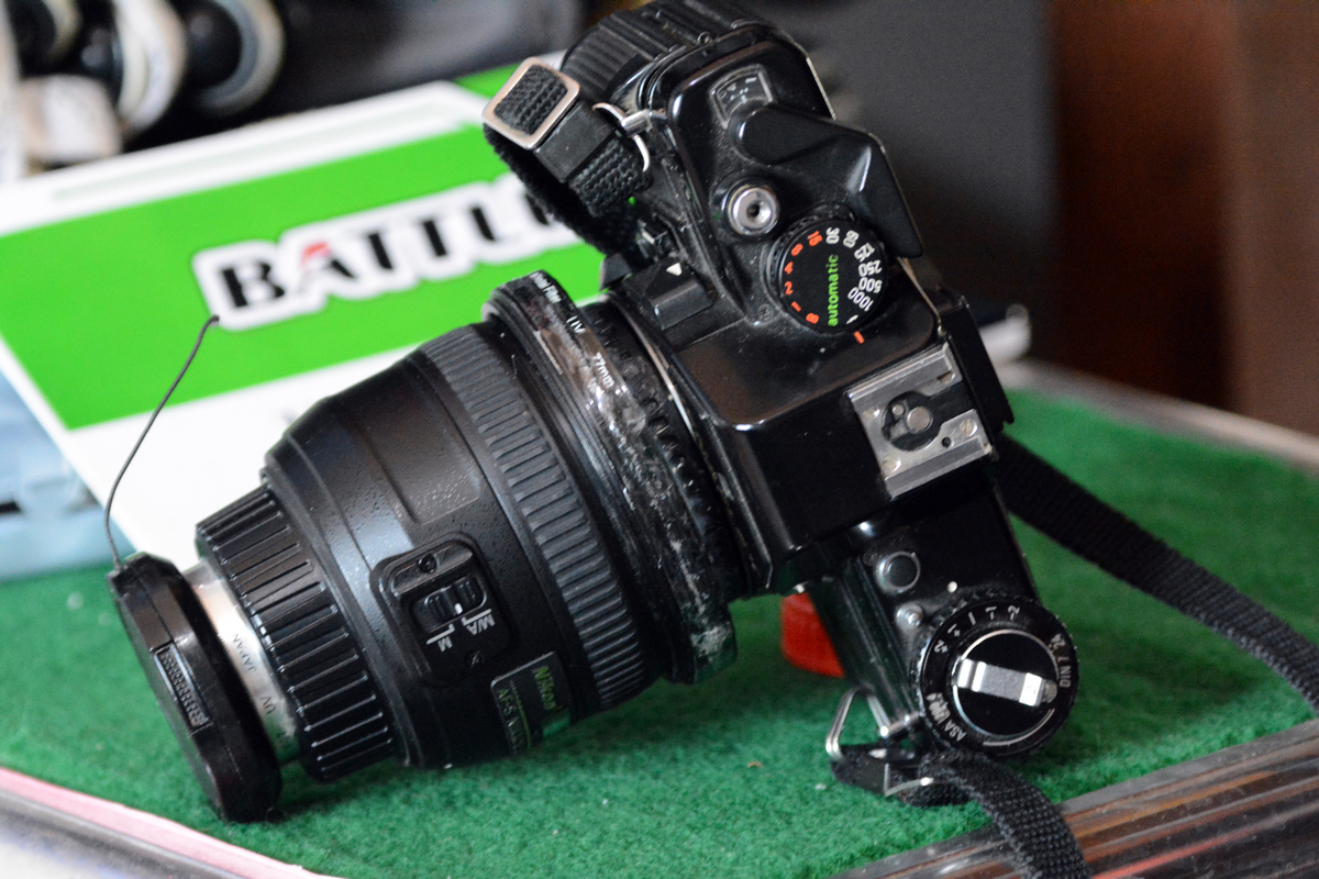 nEO_IMG_DSC_6582.jpg