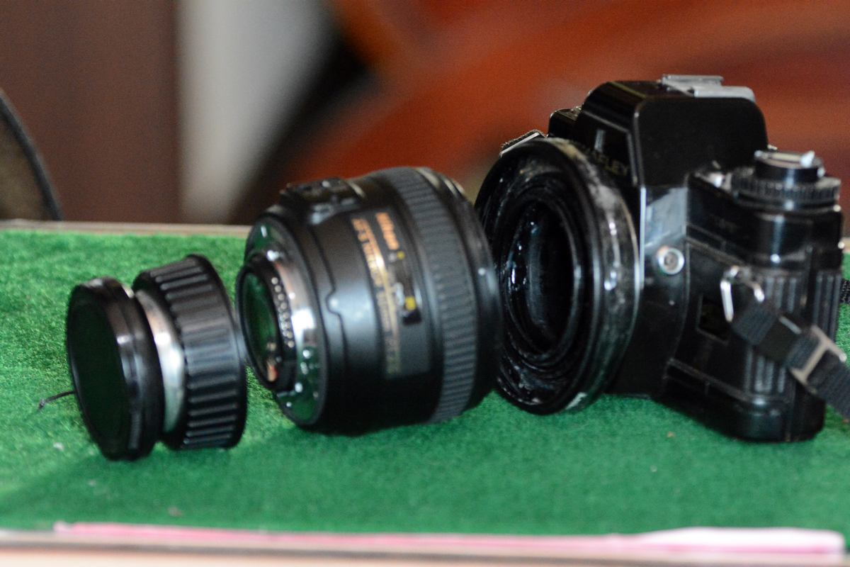 nEO_IMG_DSC_6584.jpg