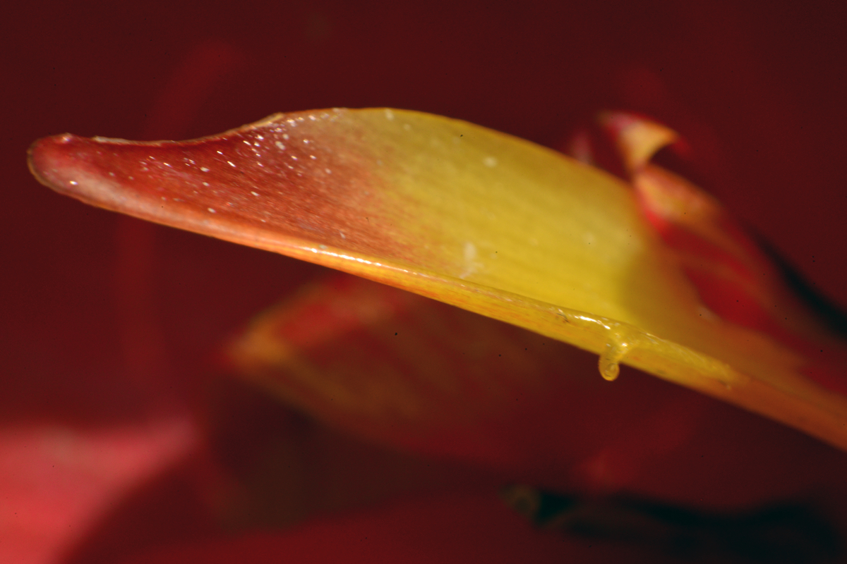 nEO_IMG__DSC2874 - .jpg
