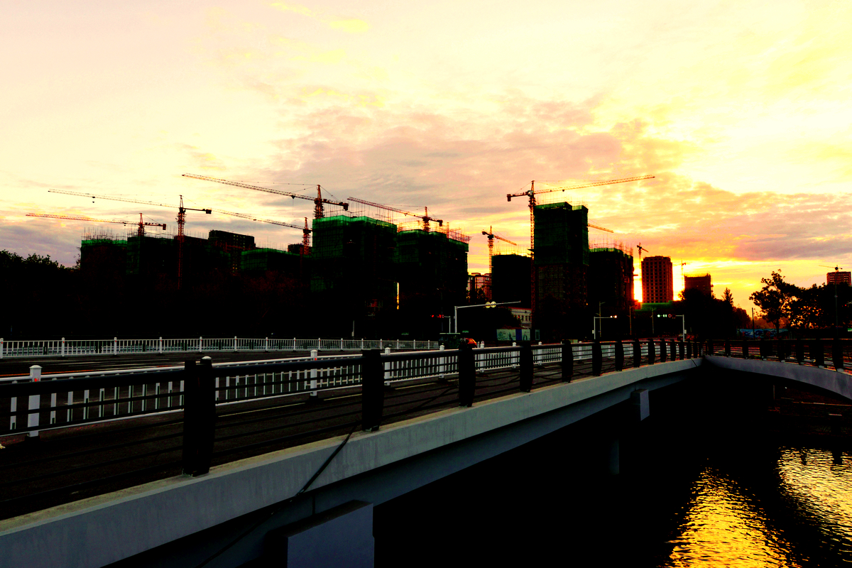 nEO_IMG__DSC3176.jpg