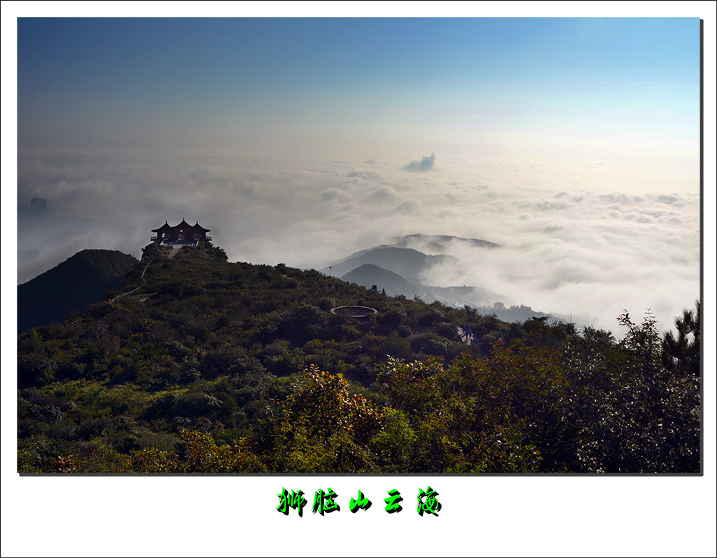 DSC_6406-1.jpg