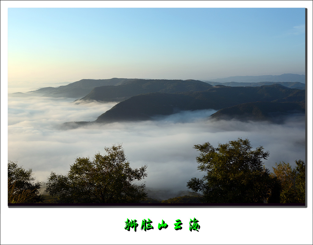 DSC_6308-1.jpg