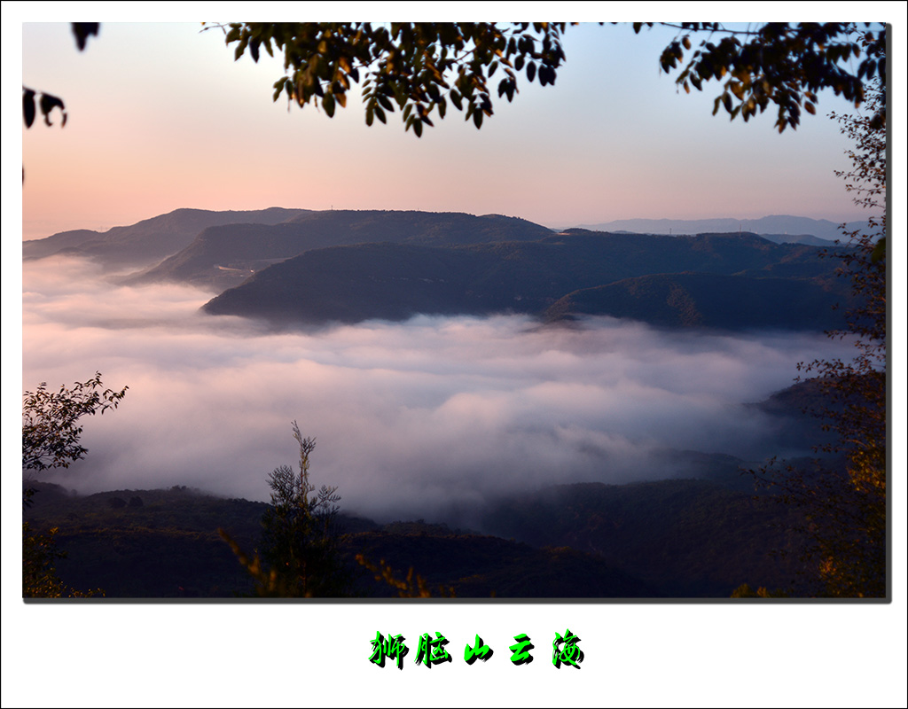 DSC_6292-1.jpg