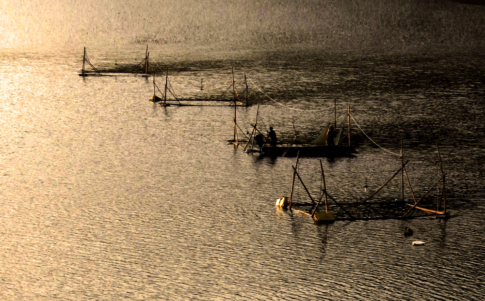 DSCF2385.JPG