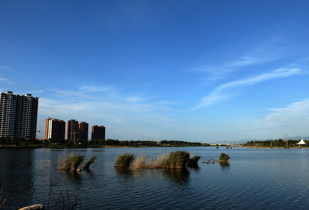 DSCF8266.JPG