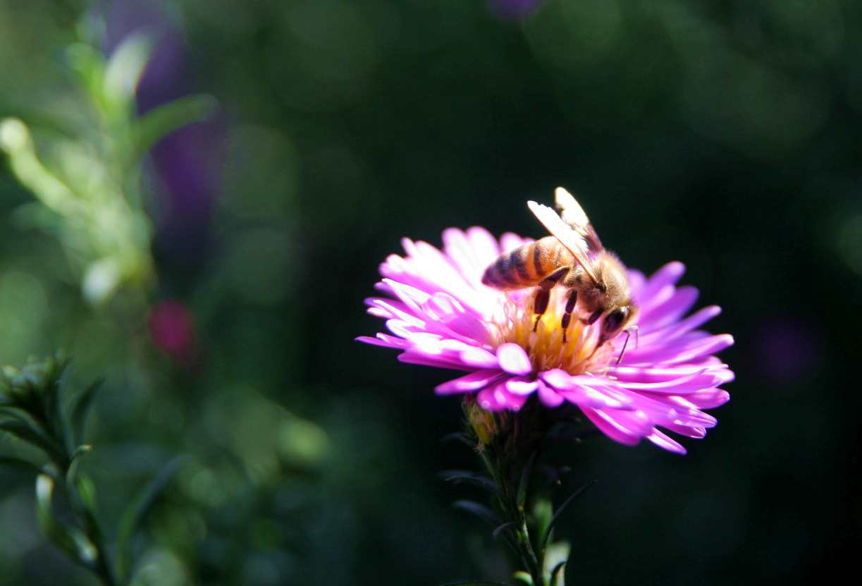 IMG_6825_.jpg